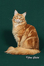 05_Rondeelu Erik Le Rouge